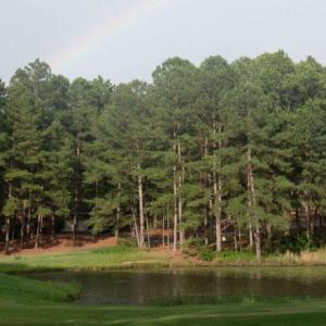 pond11-17-2019022149