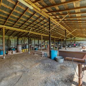 16-web-or-mls-IMG_8000