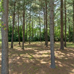 1124 Azalea Ln MLS-6
