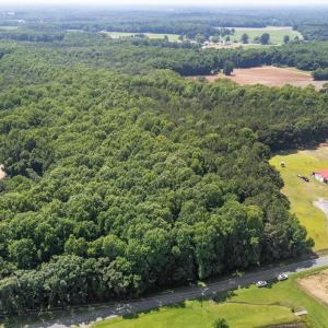 2-web-or-mls-DJI_20250617145438_0542_D