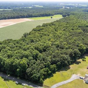 3-web-or-mls-DJI_20250617145504_0543_D