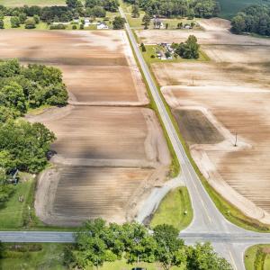 large-019809c5-d6f6-7392-b6e7-9060505084