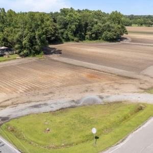 large-019809c2-3cfb-72a2-b5fb-868c95b261