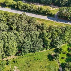 13-web-or-mls-DJI_20250714102447_0277_D