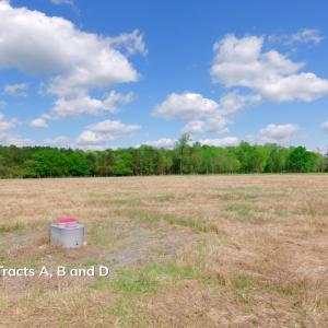 Cameron NC Ground Still12