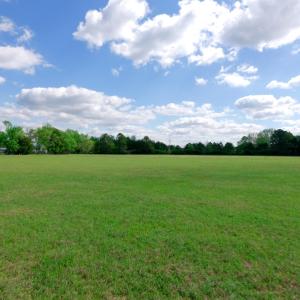 Cameron NC Ground Still31