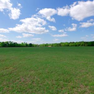Cameron NC Ground Still32