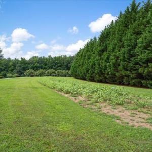 413-johnson-town-road-road-000