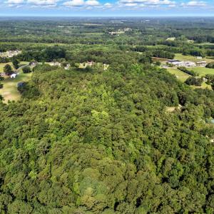 15-web-or-mls-DJI_20250714100826_0036_D