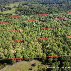 5-web-or-mls-DJI_20250714100728_0034_D-L