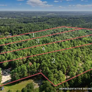 3-web-or-mls-DJI_20250714100617_0032_D-L