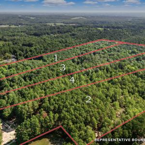 4-web-or-mls-DJI_20250714100632_0033_D-L