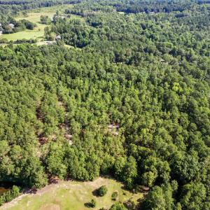 13-web-or-mls-DJI_20250714100728_0034_D