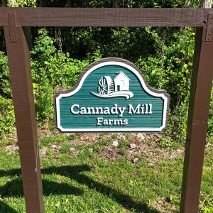 DJI_20250618100454_0008_D