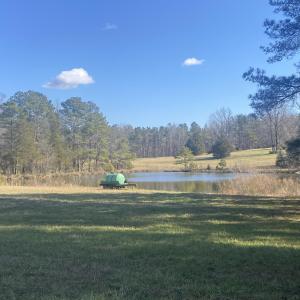 Lot H - looking at pond from further up