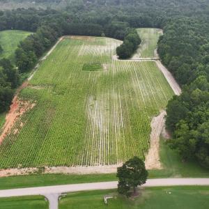 DJI_20250715001757_0150_D