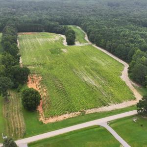 DJI_20250715001814_0151_D