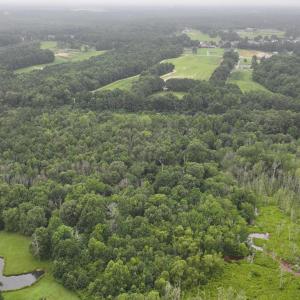 DJI_20250715002208_0156_D