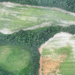 DJI_20250715002932_0164_D