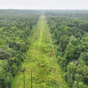 DJI_20250715002636_0162_D