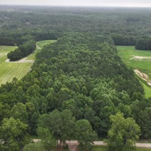 DJI_20250715003121_0167_D