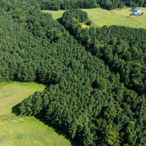 DJI_0377
