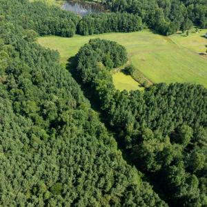 DJI_0378