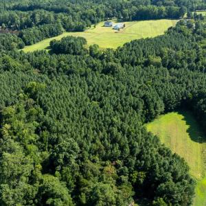 DJI_0383