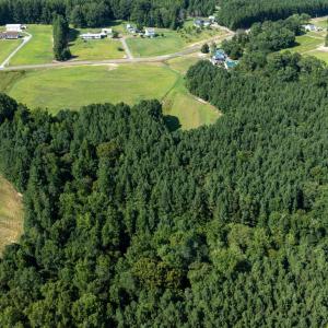 DJI_0386