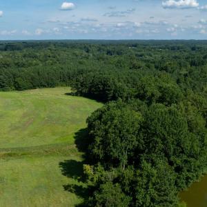 DJI_0391