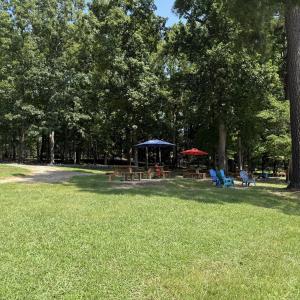 IMG_0970