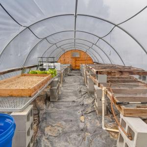 Greenhouse McCaskey