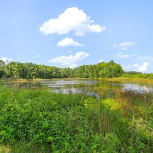 86-web-or-mls-Warrenton-Rd-86