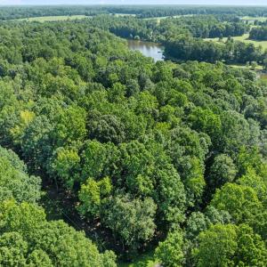 13-web-or-mls-DJI_0655