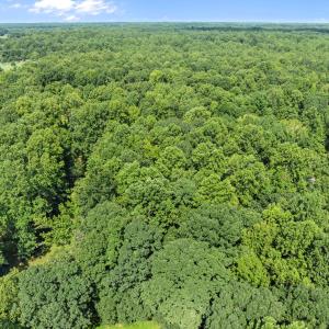 6-web-or-mls-DJI_0648