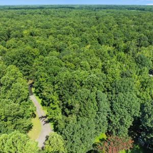 5-web-or-mls-DJI_0647