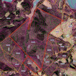 tax map