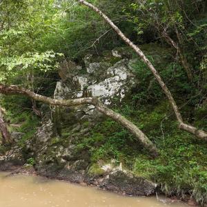 DJI_20250722160113_0149_D