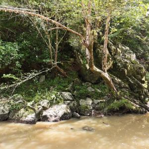 DJI_20250722160139_0150_D