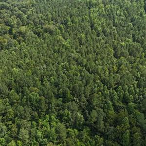 DJI_20250722160321_0153_D