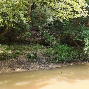 DJI_20250722160205_0151_D