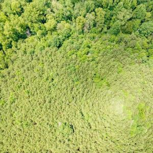 14-014-588RufusCBurnetteDr-Land-20250611