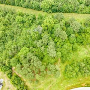 09-009-588RufusCBurnetteDr-Land-20250611