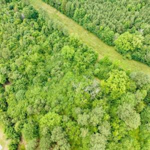 10-010-588RufusCBurnetteDr-Land-20250611