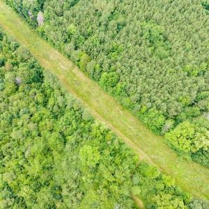 11-011-588RufusCBurnetteDr-Land-20250611