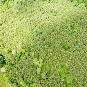 12-012-588RufusCBurnetteDr-Land-20250611