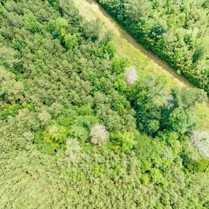 13-013-588RufusCBurnetteDr-Land-20250611