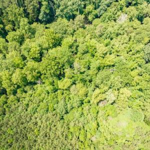 15-015-588RufusCBurnetteDr-Land-20250611