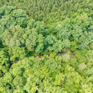 16-016-588RufusCBurnetteDr-Land-20250611