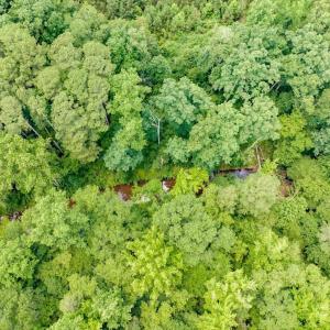 17-017-588RufusCBurnetteDr-Land-20250611